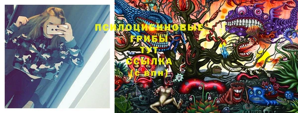 PSILOCYBIN Алексеевка