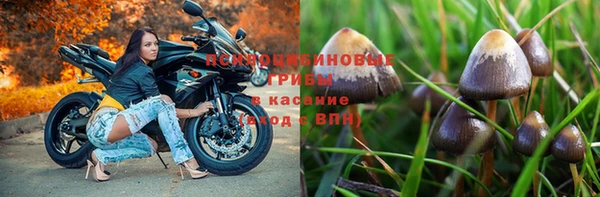 PSILOCYBIN Алексеевка